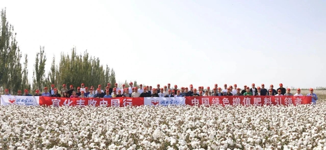 宜化豐收中國行！新疆棉花大型測產(chǎn)觀摩會成功舉行