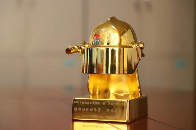 第一！股份公司鄢陽獲頒宜昌市消防設(shè)施操作員“榮譽(yù)金頭盔”(圖2)