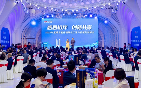 感恩相伴創(chuàng)新共贏！湖北宜化舉辦精細(xì)化工客戶價(jià)值共創(chuàng)峰會(huì)(圖1)